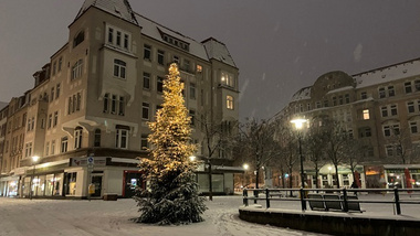 Vinetaplatz Winter Tannenbaum